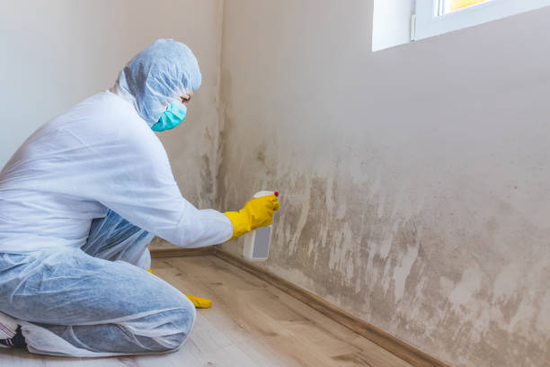 Hvac And Air Duct Mold Remediation inspection of HVAC system in Neshanic Station